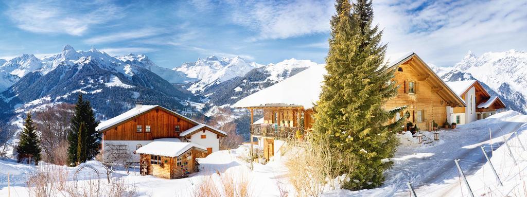 Haus Battlogg Daire Bartholomäberg Dış mekan fotoğraf